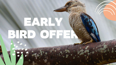 Early bird - Pre-sale offer!
